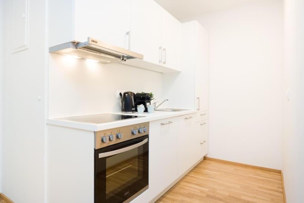 Apartment Premium With Balcony! Free Garage Parking Included! Wien